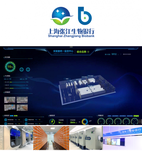 腦死亡：臨床綜述